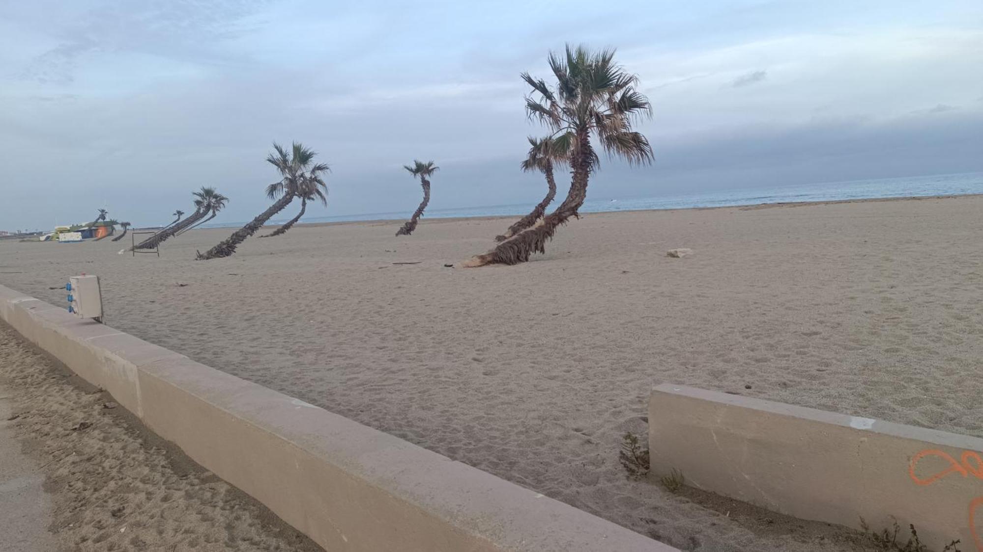 Les 2 Dauphins * Le Barcarès